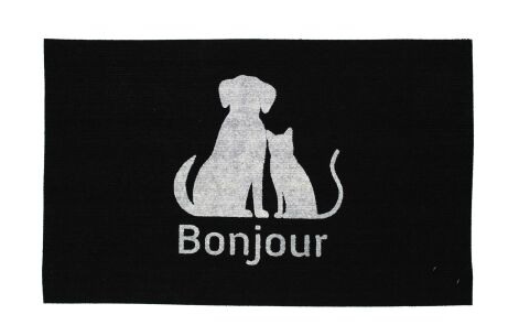 Jalamatt 45 x 70 cm helendav loom