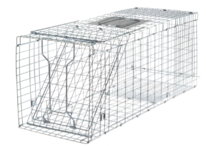 Püünis 33 x 79 x 32 cm