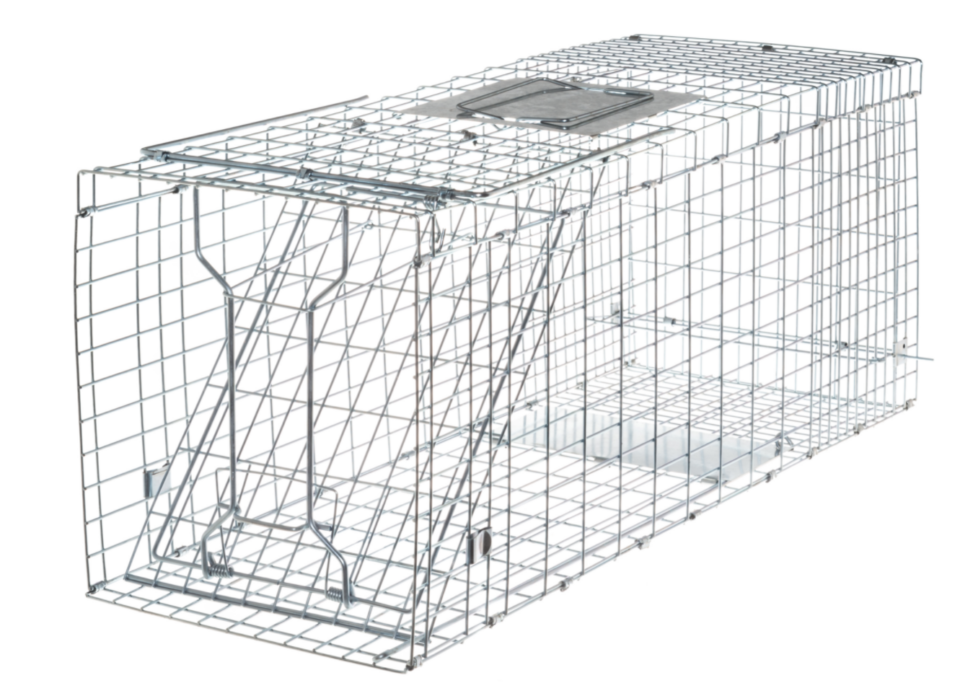 Püünis 33 x 79 x 32 cm