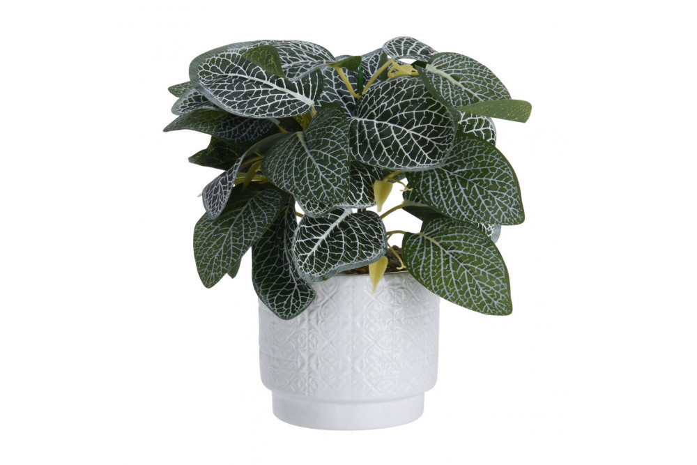 Kunstlill keraamilises potis