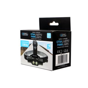 Pealamp laetav 1200 lm, 12W Berg