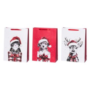 Kinkekott Winteria L