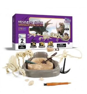 Dinode väljakaevamise komplekt - 3 fossiili