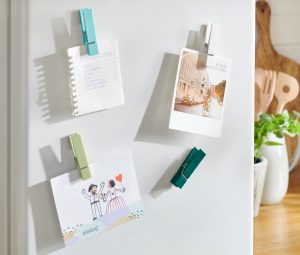 Külmkapimagnetid klambriga 4 tk