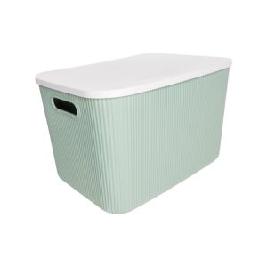 Hoiukast 21 l Alythia roheline